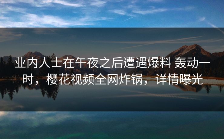 业内人士在午夜之后遭遇爆料 轰动一时，樱花视频全网炸锅，详情曝光