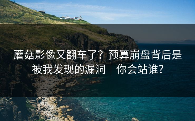 蘑菇影像又翻车了？预算崩盘背后是被我发现的漏洞｜你会站谁？